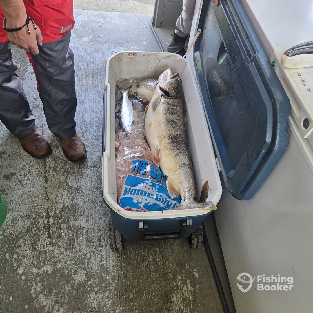 Elberta Report Photo 0