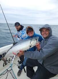 Kings are starting to show up!