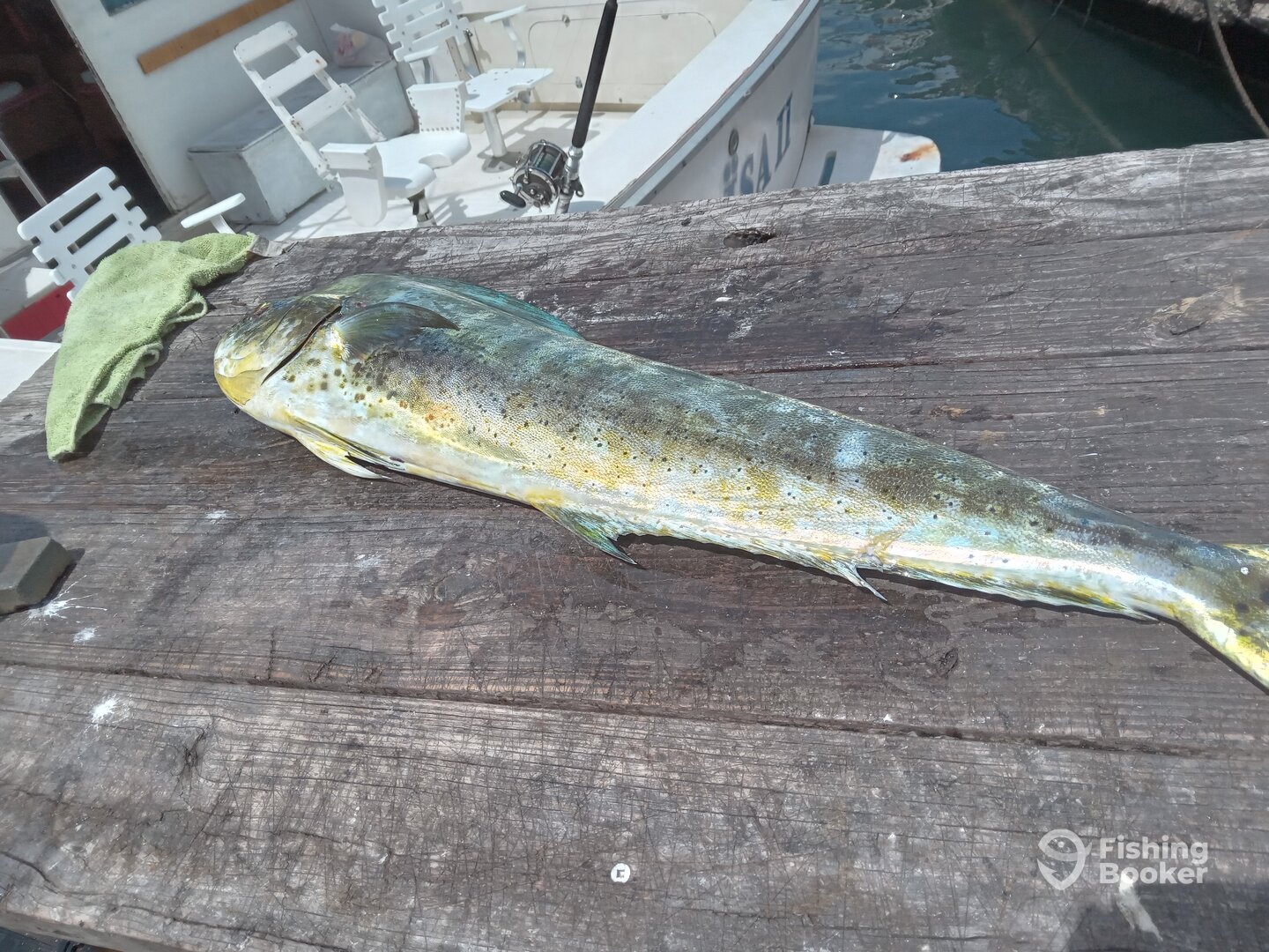 Oranjestad Report Photo 0