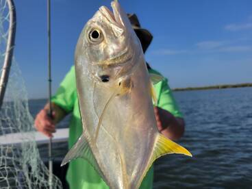 Port Orange Report Photo 1