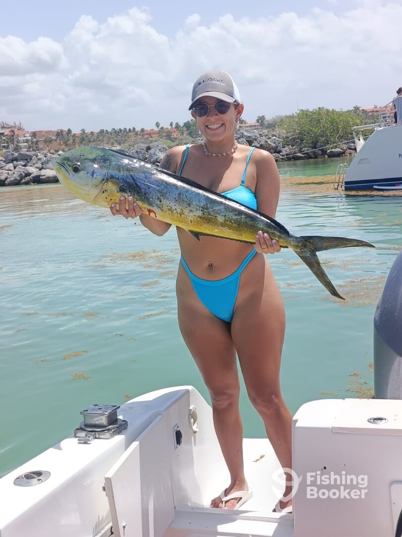Puerto Aventuras Report Photo 0