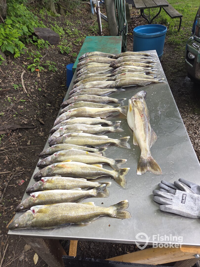 Vermilion Report Photo 0