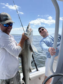 Family shark trips!!