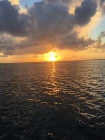 Bite was slow, but the live pinfish did 