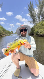 Non-Stop Bites and Wild Sights in the Gl