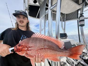 Gulf Breeze Report Photo 1