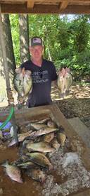 Quitman Report Photo 2