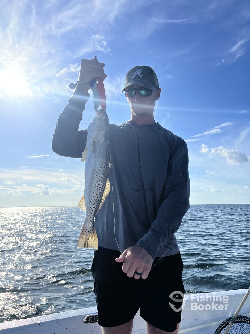 Alligator Point Report Photo 0