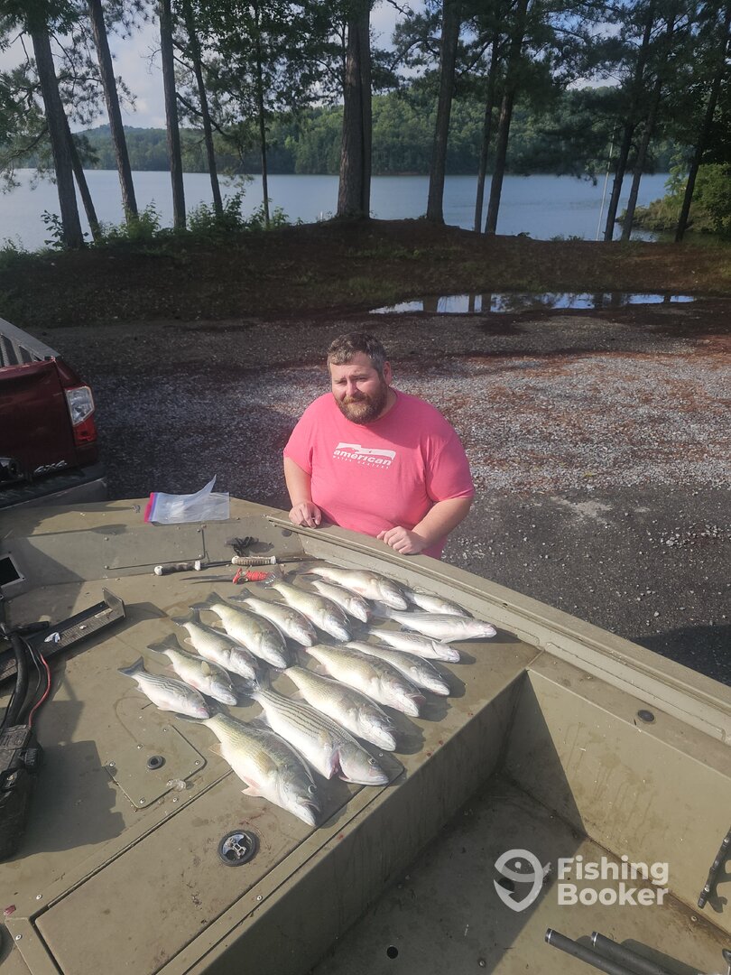 Oakman Report Photo 0