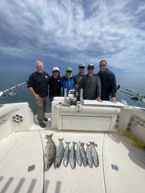 Chicago Report Photo 2