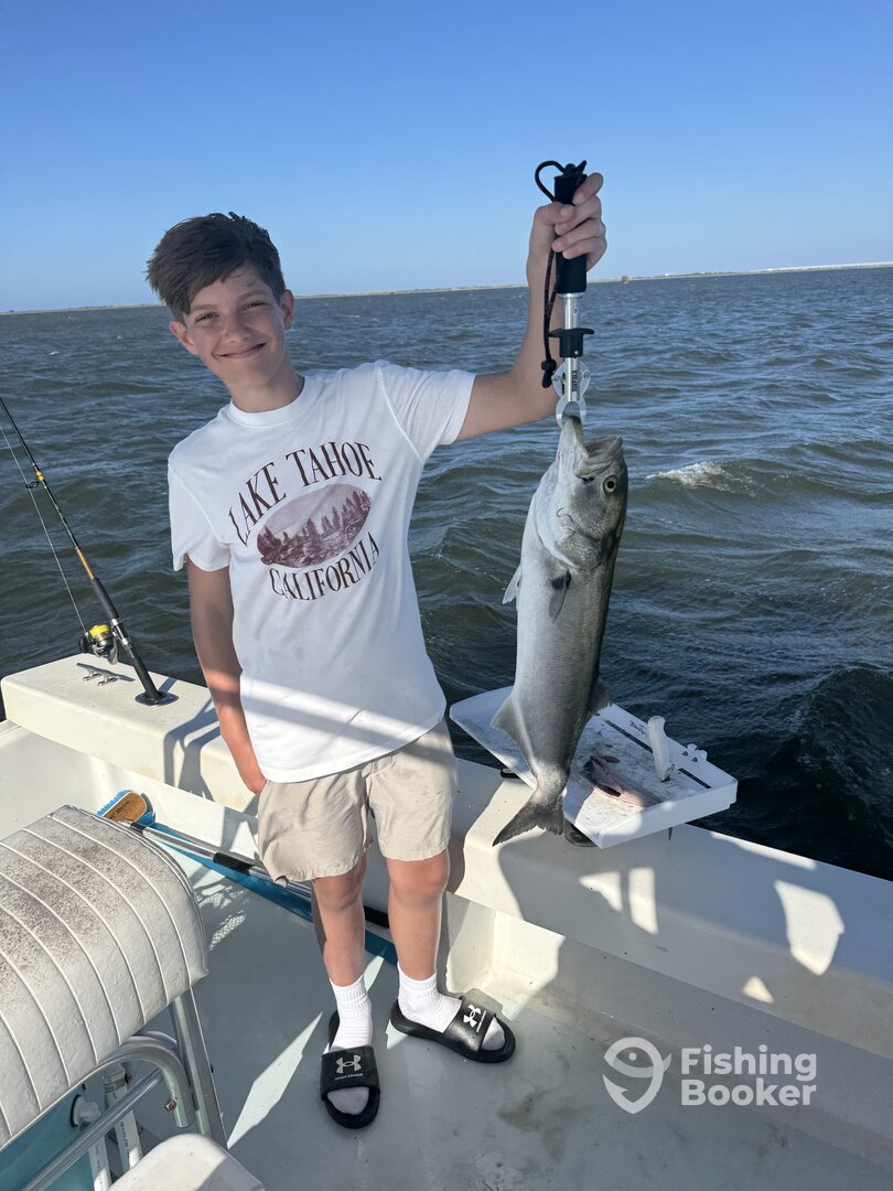 Wanchese Report Photo 0