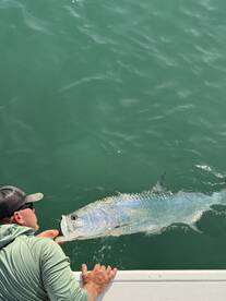 Tarpon Fishing Report – Rocket City Char