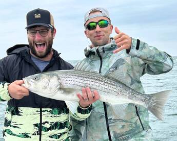 Dennis Report Photo 1