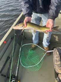 Angler holding a Northern Pike on a small fishing boat, showcasing a successful catch during a freshwater fishing trip.