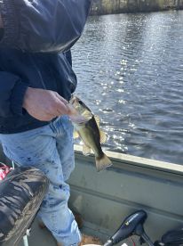 Angler holding a freshly caught Largemouth Bass while fishing from a small boat on a calm lake.
