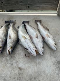 Great captain!  Great experience!