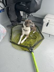 Fantastic Experience 