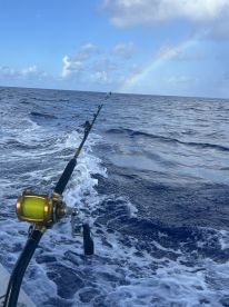 If we come back to Guam, let's try again!