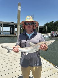 An angler proudly displaying a caught shark at the dock, showcasing a sunny day on the water.