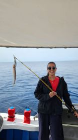 Significantly Exceeded Expectations