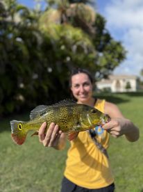 1 hour land trip with Byron