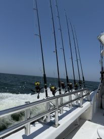 Fishing rods are neatly arranged on the side of the boat, showcasing a well-equipped setup for deep-sea fishing in open waters.