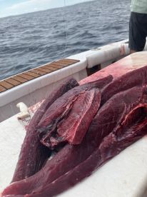 Freshly filleted tuna on a cleaning table aboard a fishing boat, showcasing the catch from a deep-sea fishing trip.