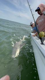 Two anglers engaged in a thrilling moment as they reel in a shark while fishing in coastal waters.