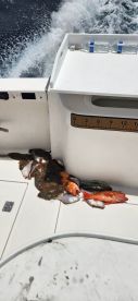 A variety of fish, including Snapper and Grouper, stored on the deck of a fishing boat, showcasing a successful day on the water.