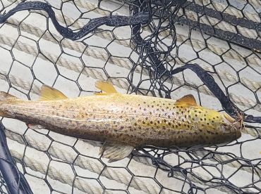 Great day on the river