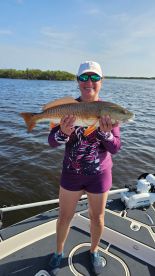 An angler proudly displaying a Redfish while fishing on a sunny day in a coastal waterway.