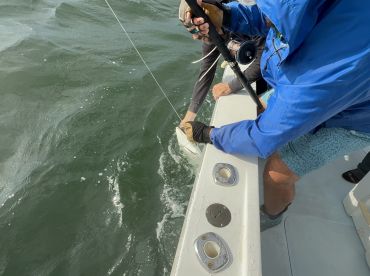 Anglers actively reeling in a fish from the side of a boat, showcasing the excitement of fishing in open waters.