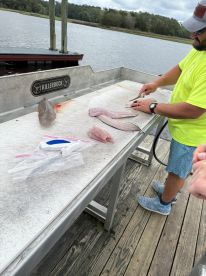 A fisherman filleting fish at a cleaning station by the water, showcasing freshly caught fish on a dock.