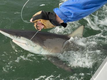 An angler reeling in a large shark while fishing in open waters, showcasing the thrill of the catch.