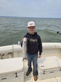 💥 Absolute blast 💥 