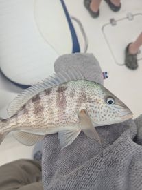 Great Trip Better Memories 