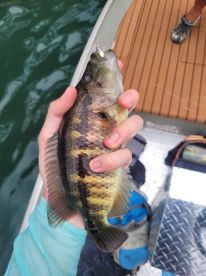 6 hour trip with Salomon