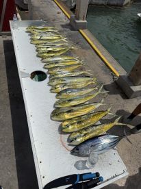 Great half day trip!