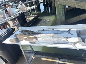 Mike was great! Highly recommended!!