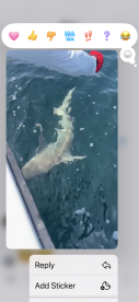 An angler is reeling in a large shark while fishing offshore, showcasing the excitement of deep-sea fishing.
