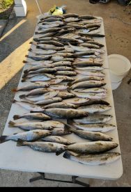 Full day trip with captain Frank 