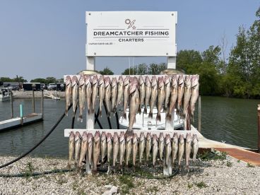 Great Captain and Better Memories