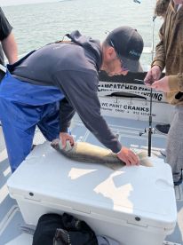 Great Captain and Better Memories