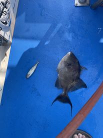 First time red snapper trip was awesome!