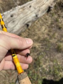 Fly fishing lakes and streams in the Utah mountains for the first time