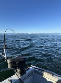 A fishing rod is bent under the strain of a catch in a scenic marine environment, showcasing the excitement of fishing on a clear day.