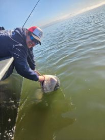 Angler actively reeling in a fish while fishing on a calm water body, showcasing the excitement of the catch.