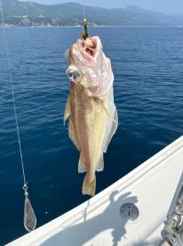 What a perfect day\u2764\ufe0f