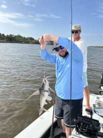 Angler reeling in a Catfish while fishing on a sunny day in a coastal waterway.