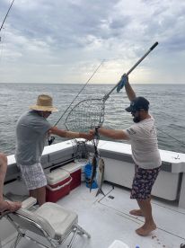 Two anglers working together to land a catch using a net on a fishing boat, showcasing teamwork in a coastal fishing environment.